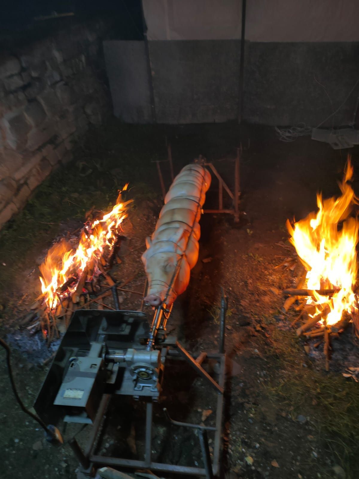 macelleria baldo porchetta