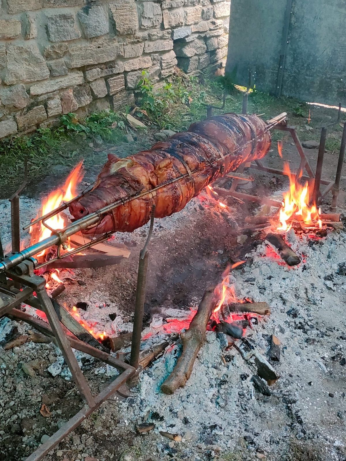 macelleria baldo porchetta