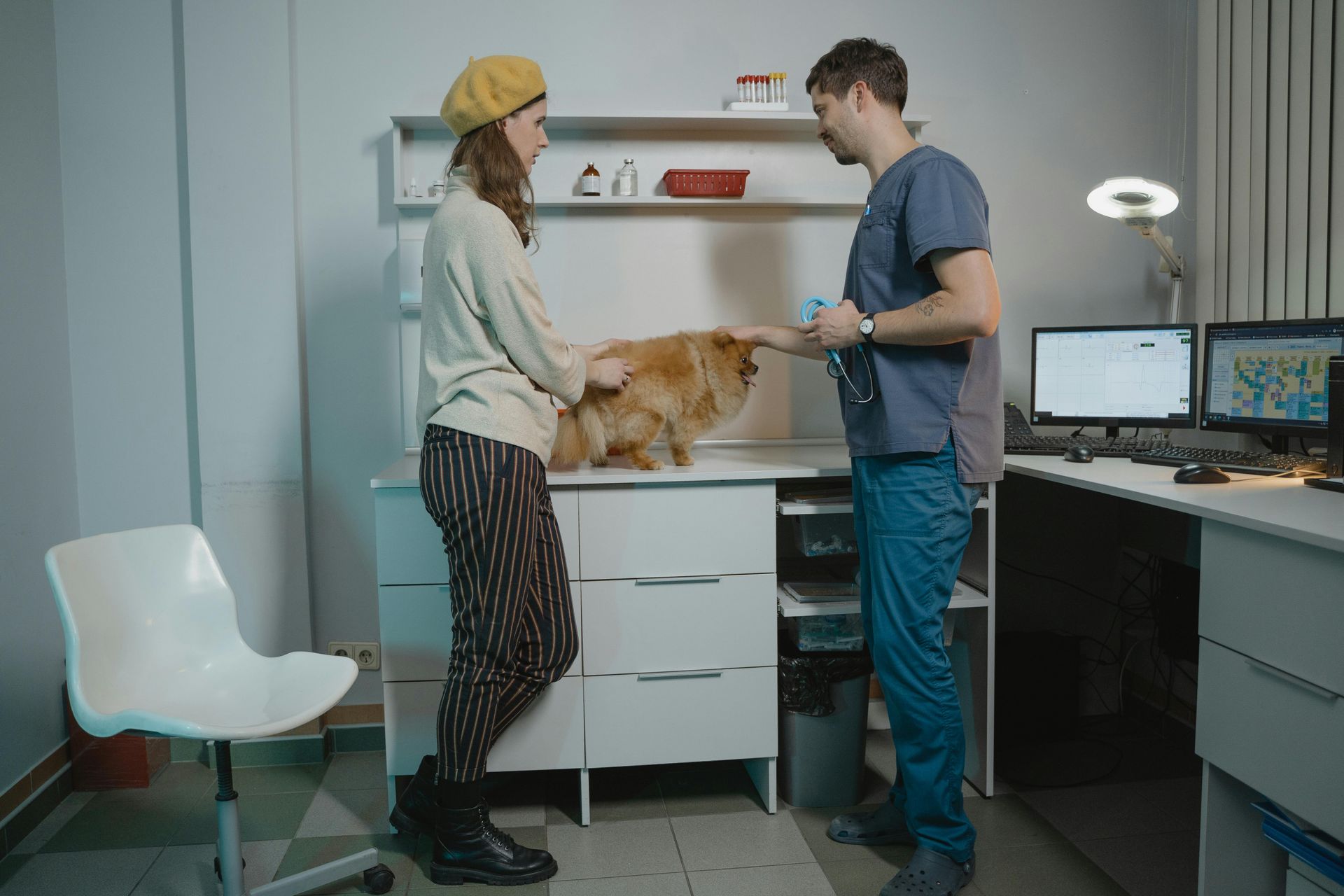 Veterinarian and assistant examining a dog in a clinic exam room