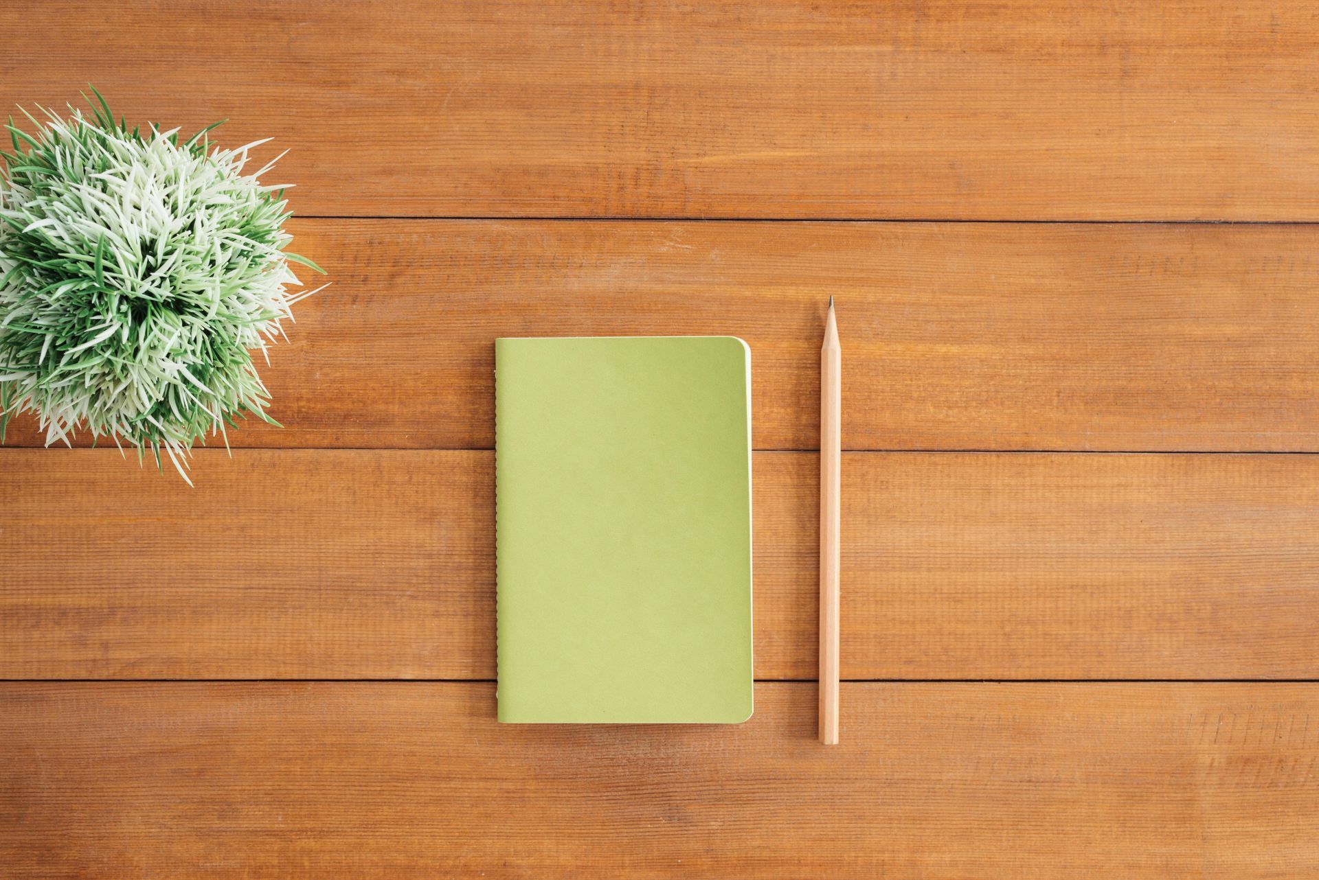 Green notebook and pencil on a wooden desk next to a small, leafy plant.