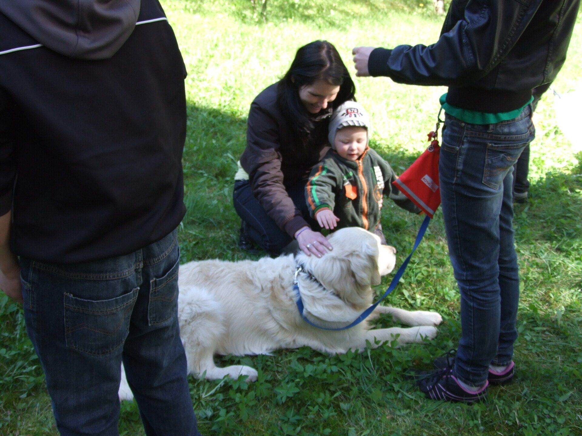 ergoterapeits , pediatrs, ārsts, bērnu ārsts, terapija, kanisterapija, nodarbības ar suni, nodarbības ar suņiem