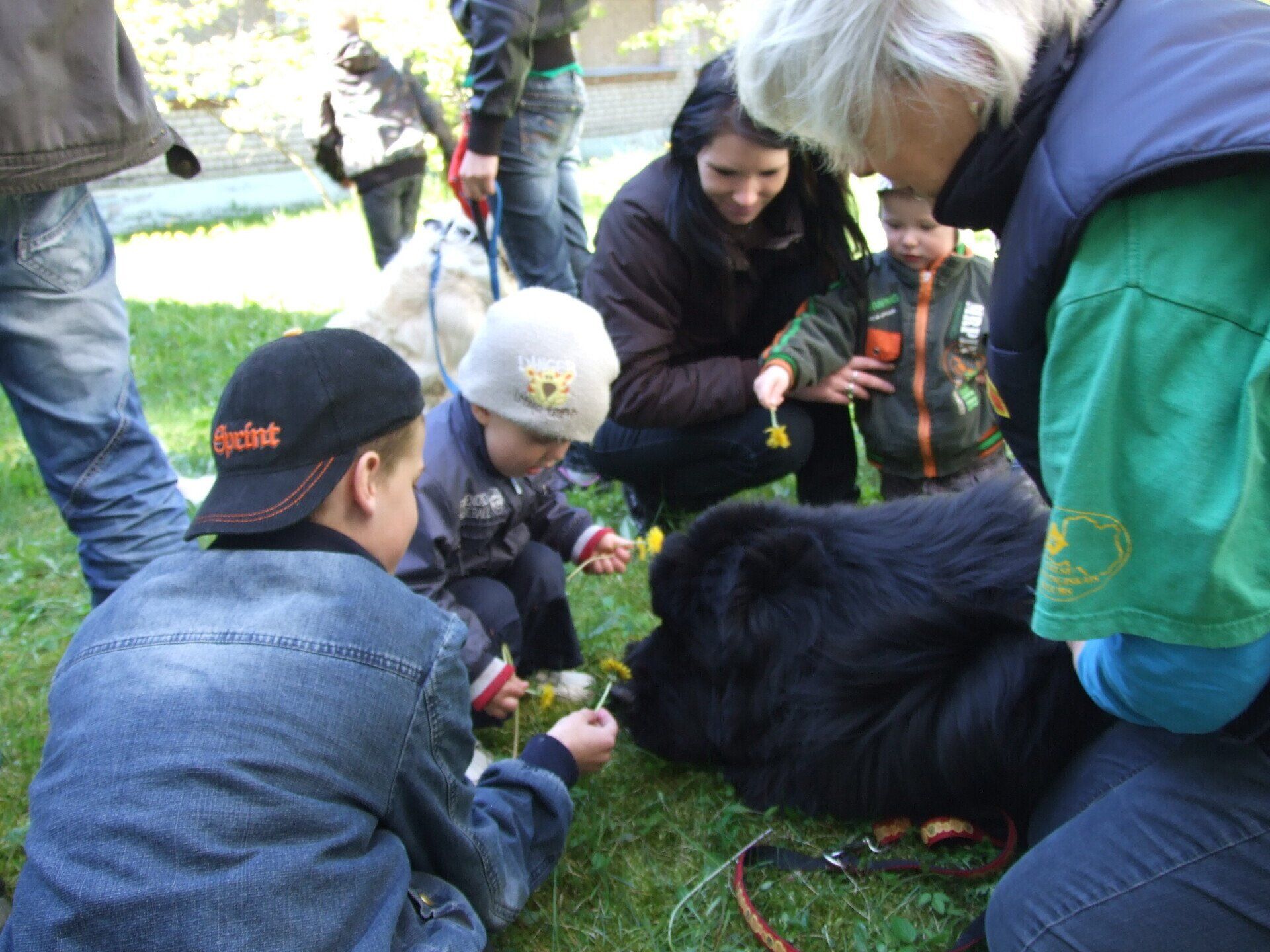 dzīvnieki, suns, su;ni, bērni un dzīvnieki, terapija, kanisterapija