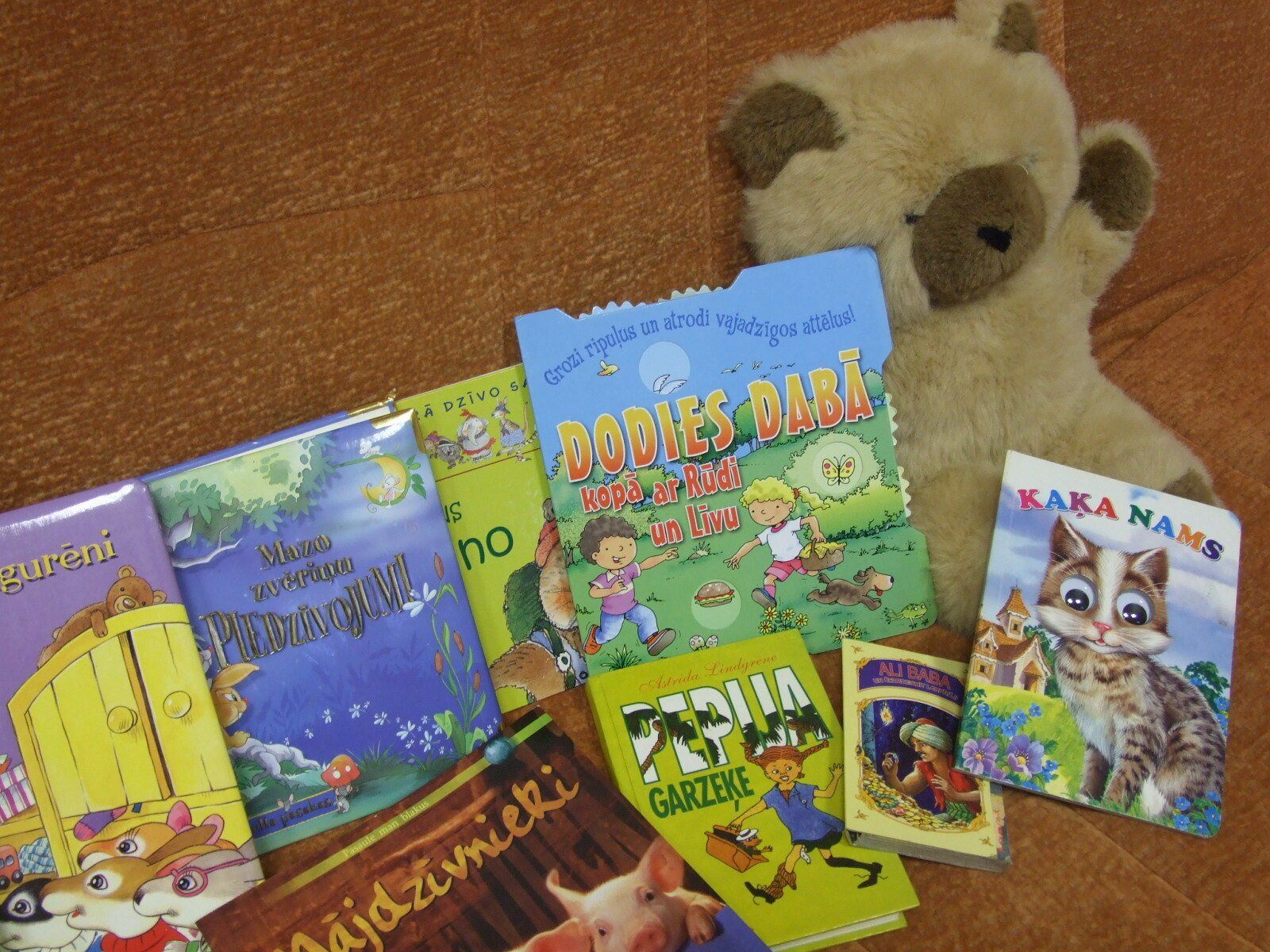 ziedot paspārnē, ziedot krīzes centram, ziedot ģimenēm, ziedot bērniem