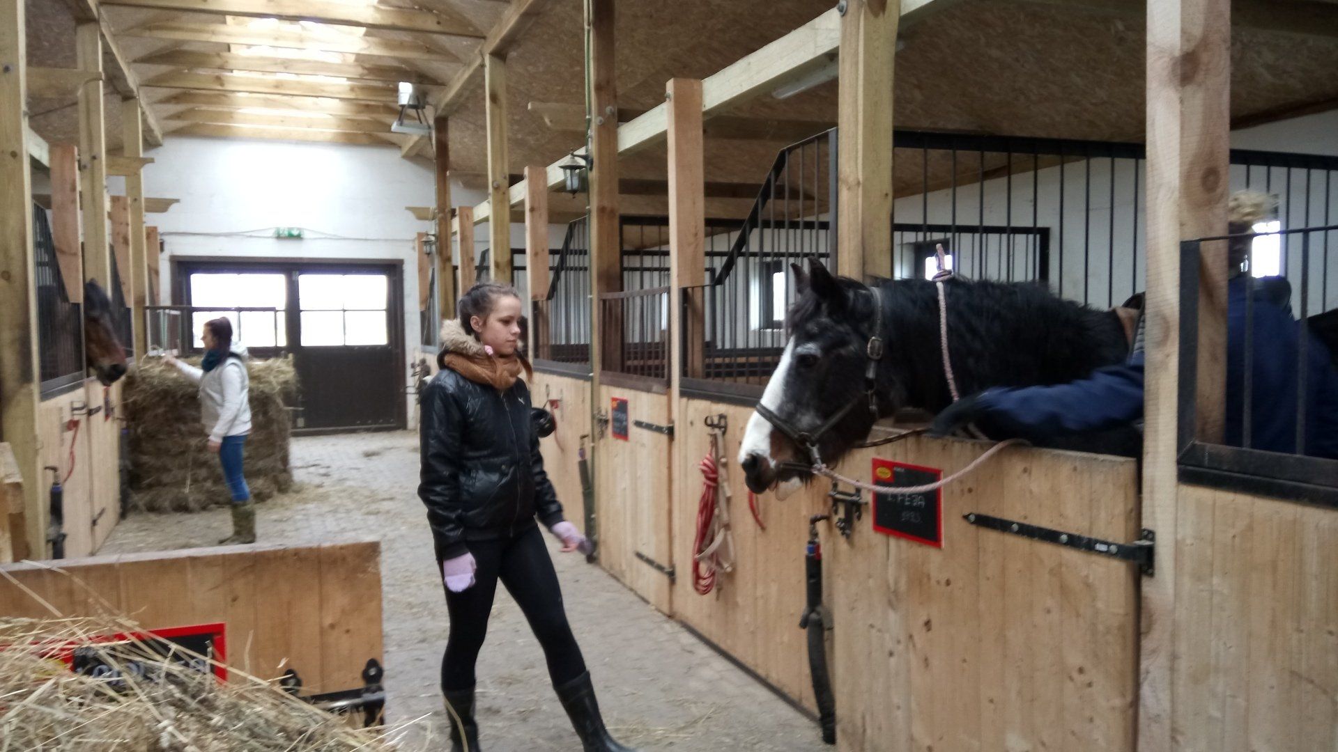 Agresija, tās cēloņi un izpausmes. Agresīvu bērnu un jauniešu raksturojums. Darbs ar bērniem, kam uzvedības traucējumi – pozitīvas uzvedības veicināšana