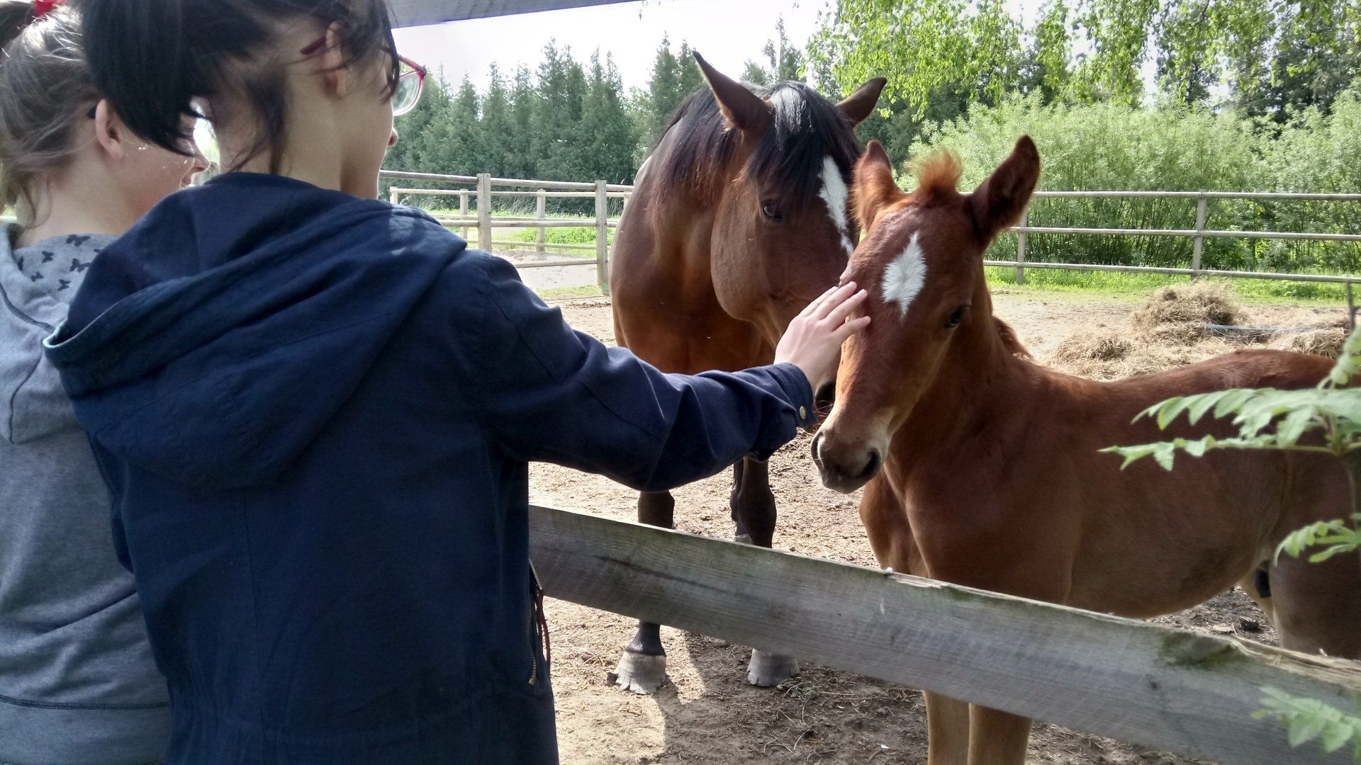 Novirzes uzvedībā. Uzvedības traucējumu brīdinājuma simptomi