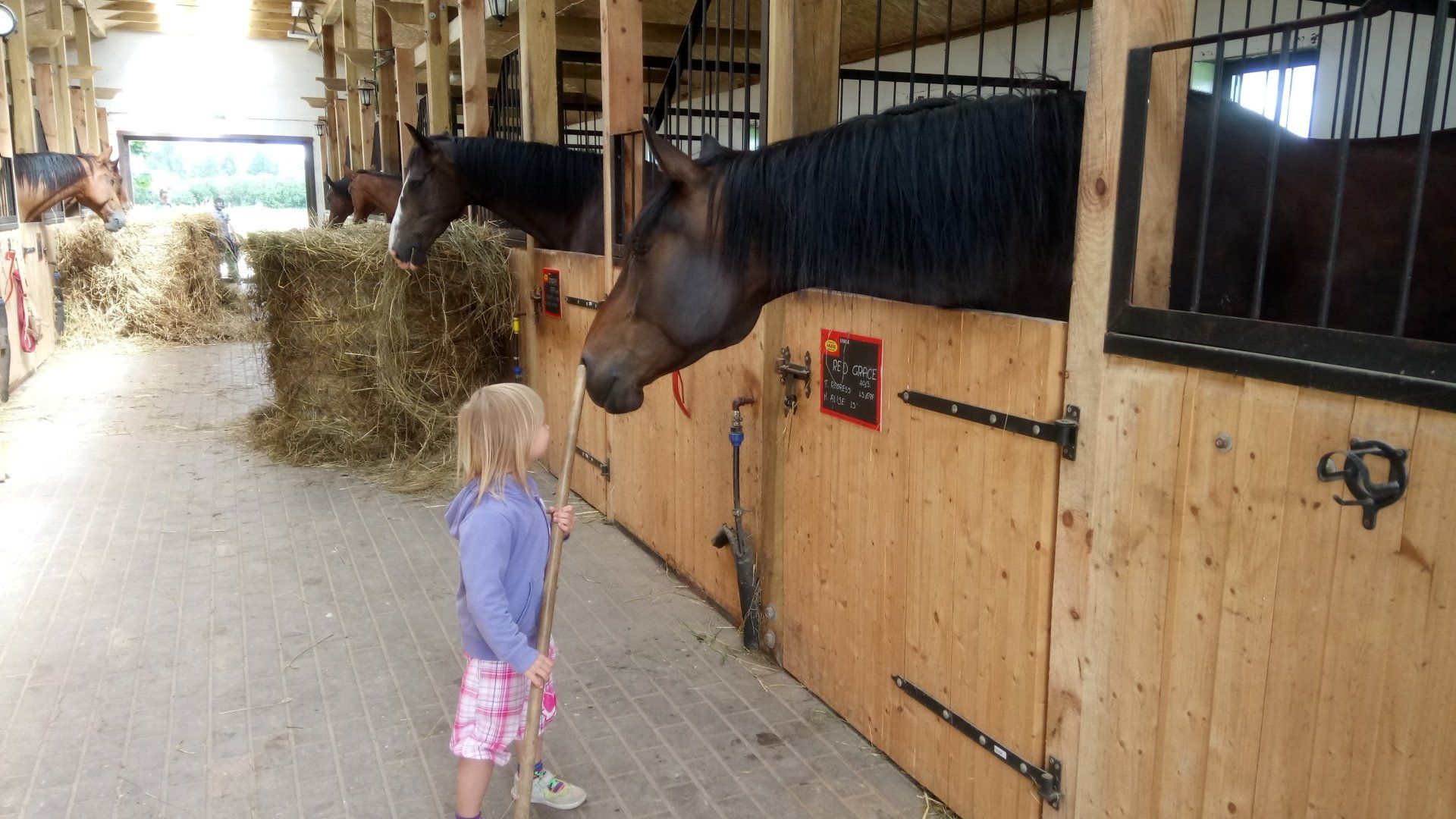 Uzvedības traucējumu cēloņi. Uzvedības mērķi. Mācīšanās grūtības, uzmanības deficīta sindroms