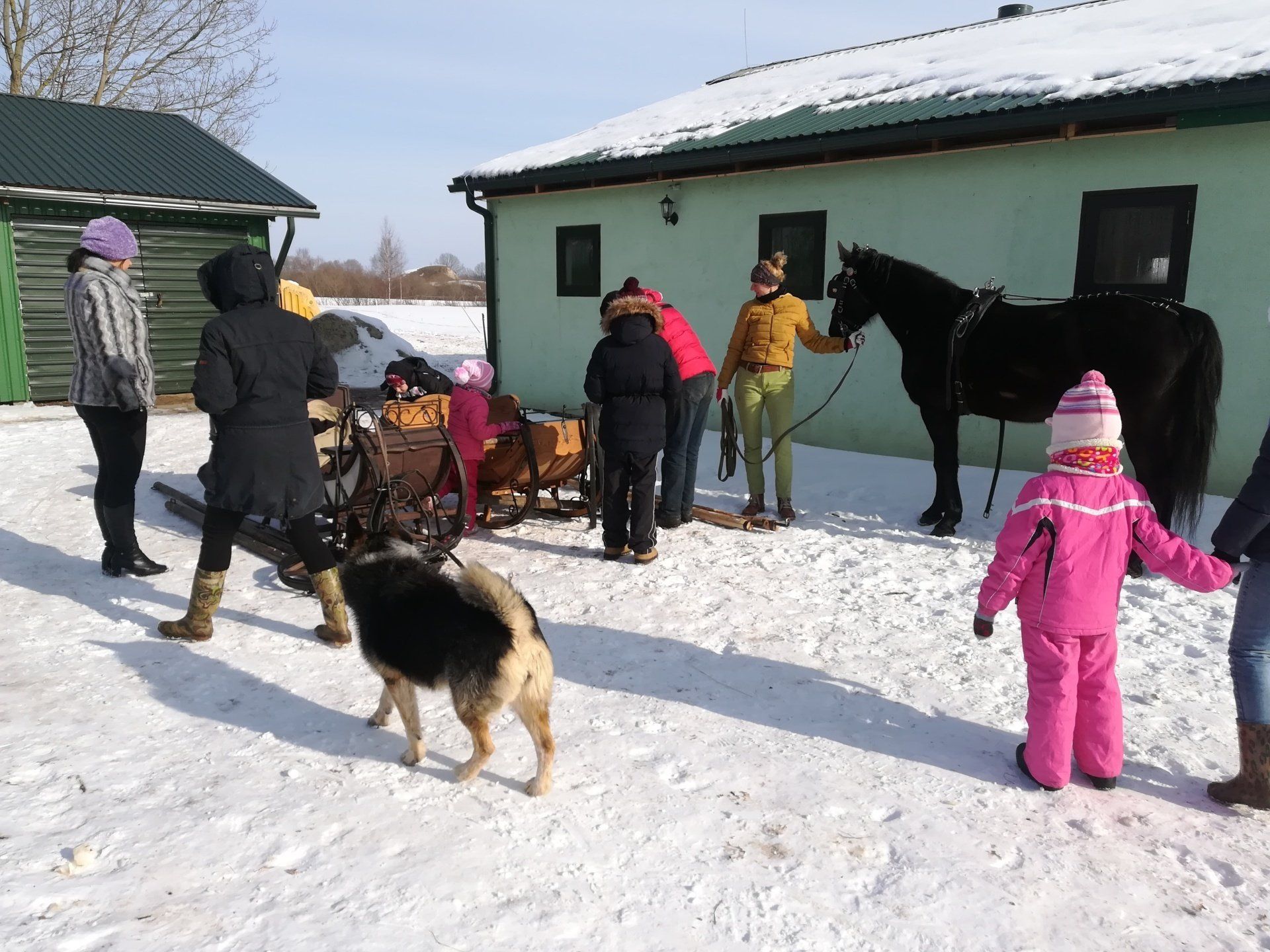 Jāšanas apmācības, jāšana, sports, sports brīvā dabā, sociāls projekts, sociāla nodarbība