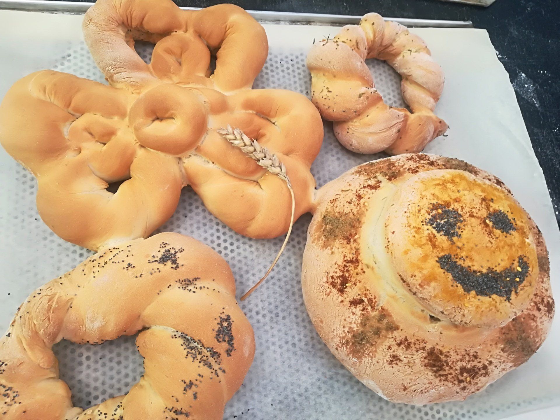 Nodarbības jauniešiem, nodarbības bērniem, nodarbības, nodarbības Ventspilī