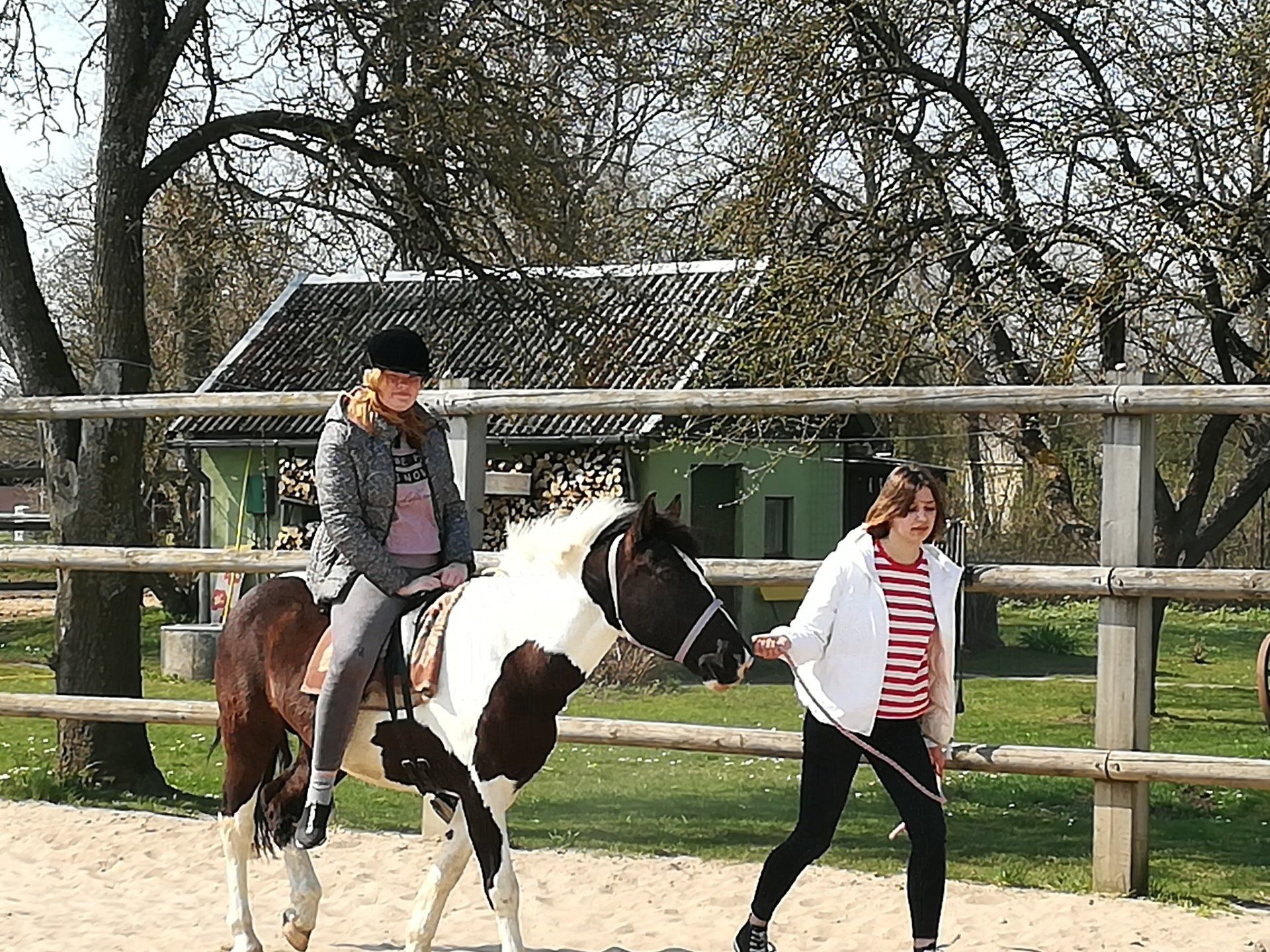 zirgi, jāšana, nodarbības, pedagogi, treneris