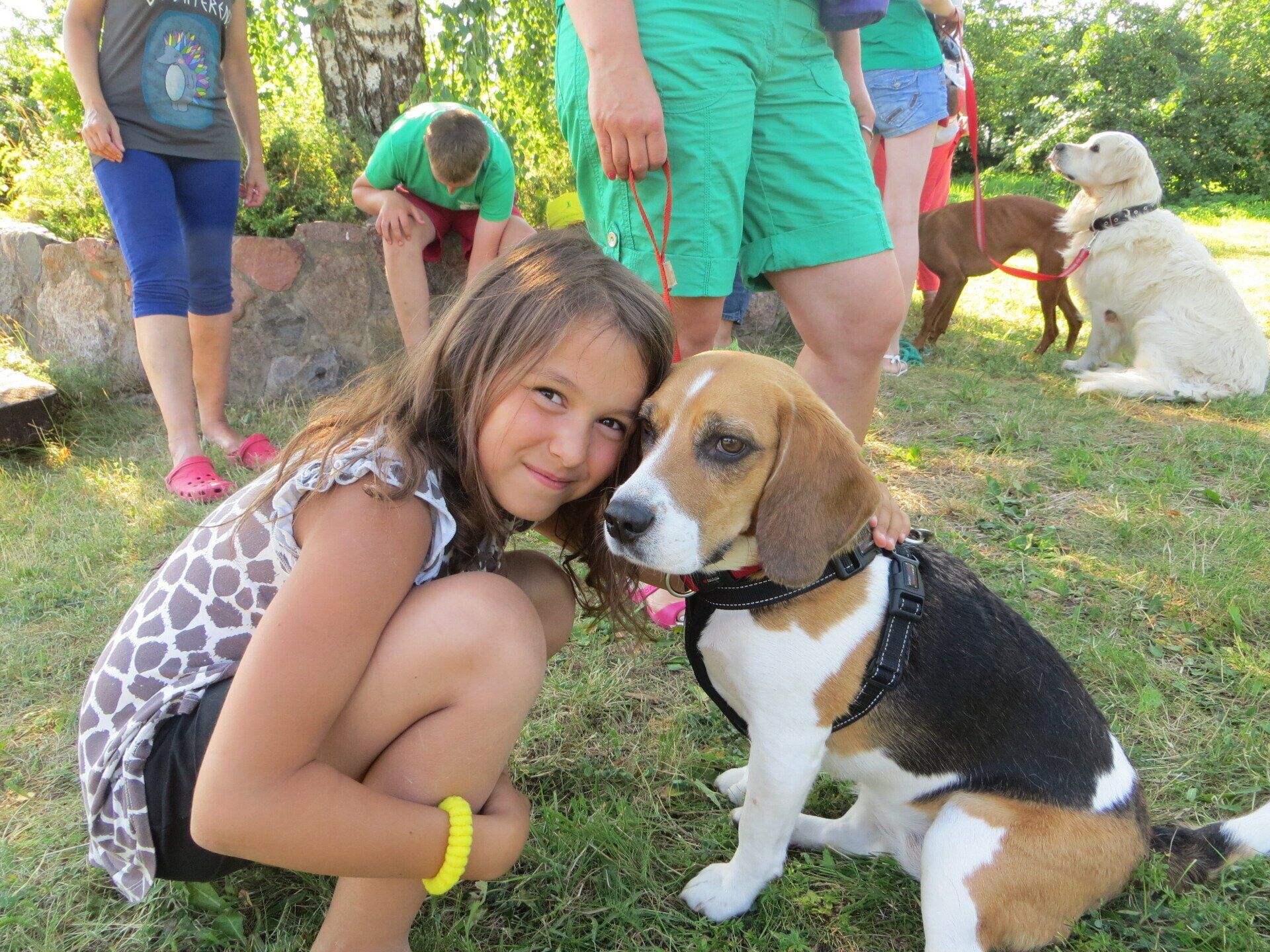 zooterapijas nozarē, kanisterapija, kanisterapija Ventspilī, dzīvnieki