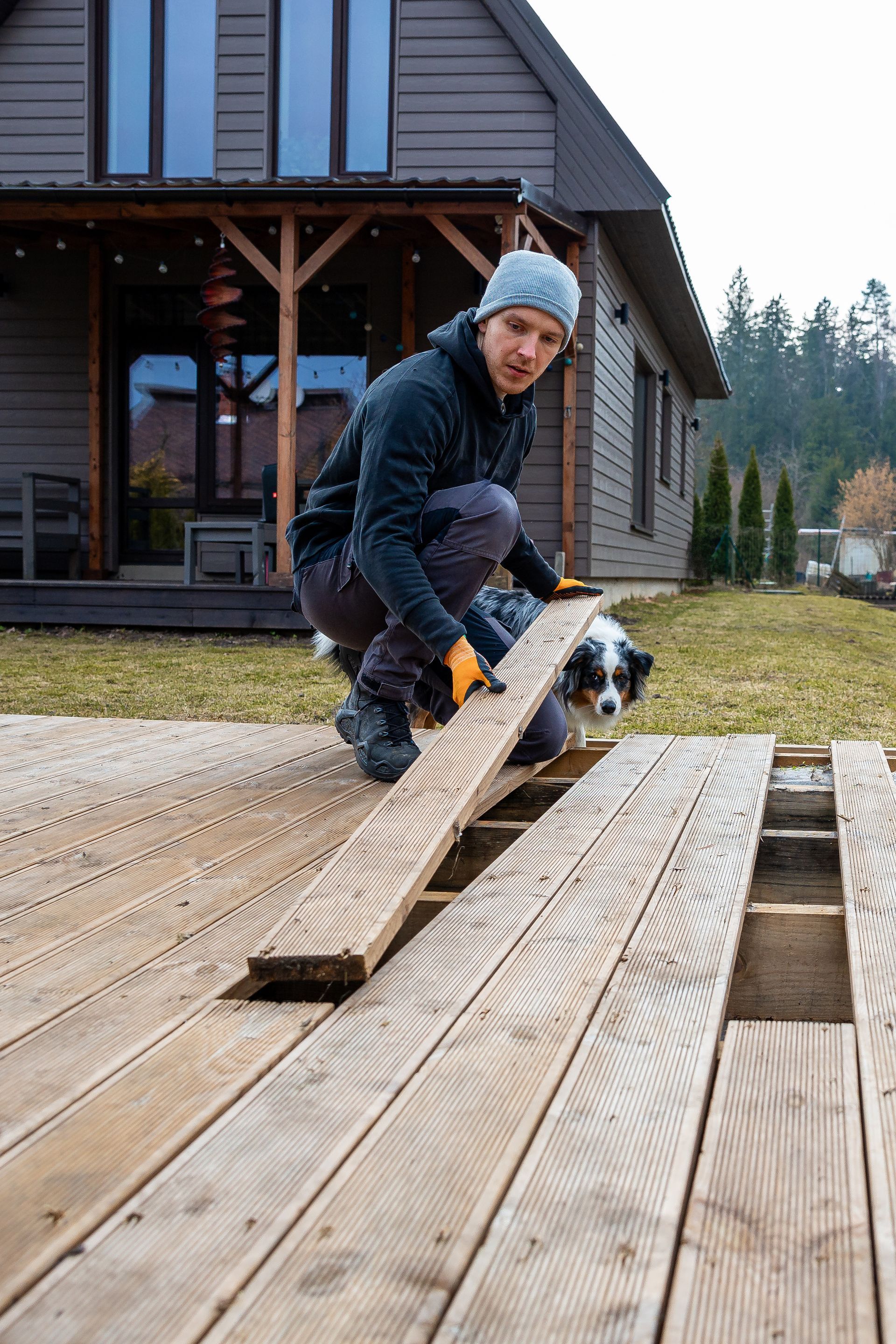 A man and a dog are working on a wooden deck.