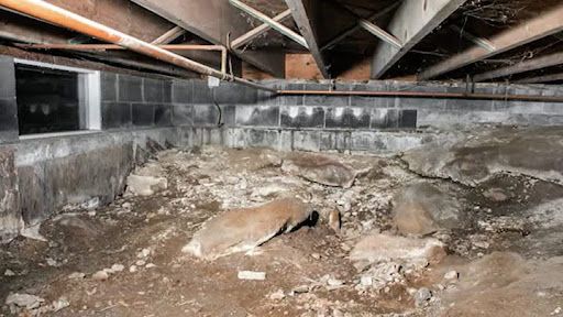 Unrepaired crawl space with moisture and soil exposure.