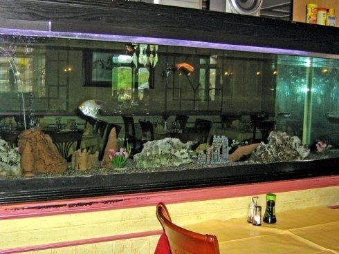 Arredi del ristorante