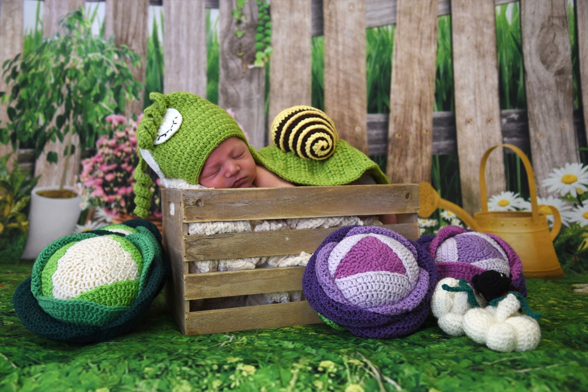 book fotografico che ritrae un bambino