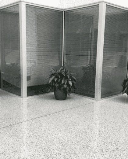 Small Interior Plant — Houston, TX — Euflora Touch of Green