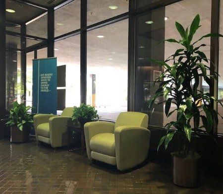 Large to Small Interior Plants — Houston, TX — Euflora Touch of Green