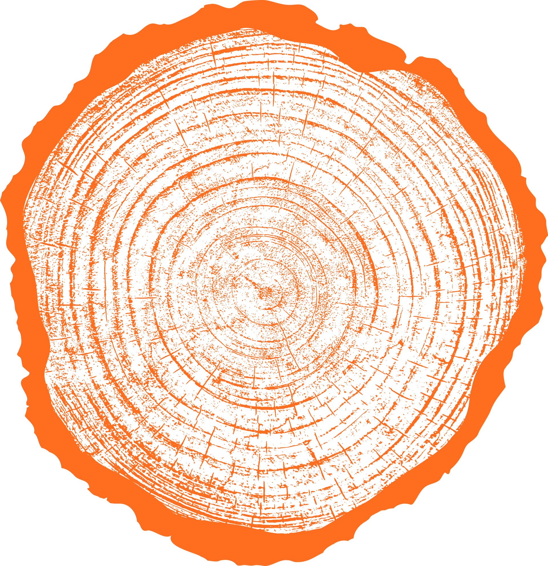 Orange tree stump cross-section showing growth rings.