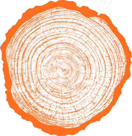 Orange tree stump cross-section showing growth rings.