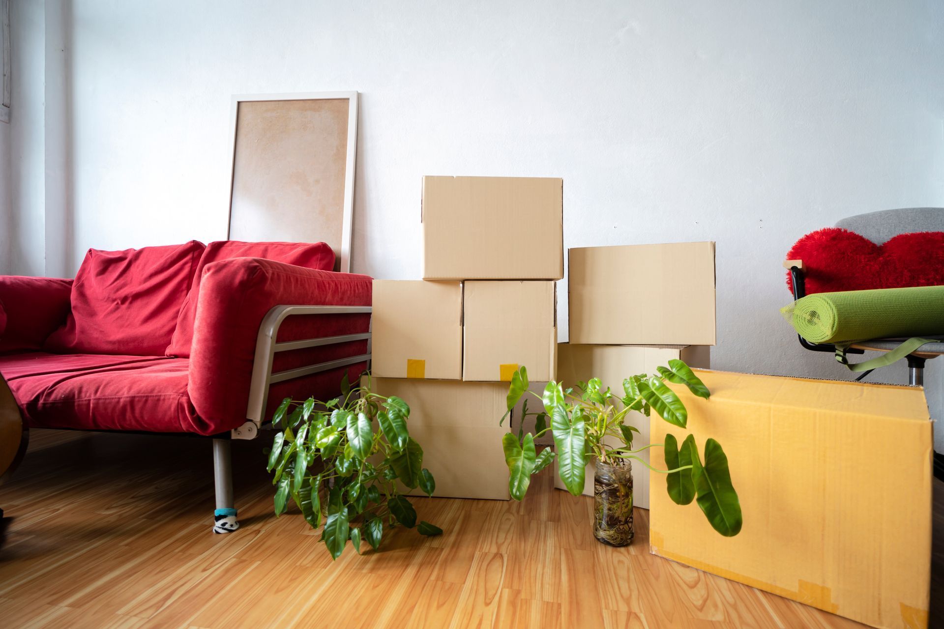 Living room with moving boxes, a red couch, plants, and a wooden floor.