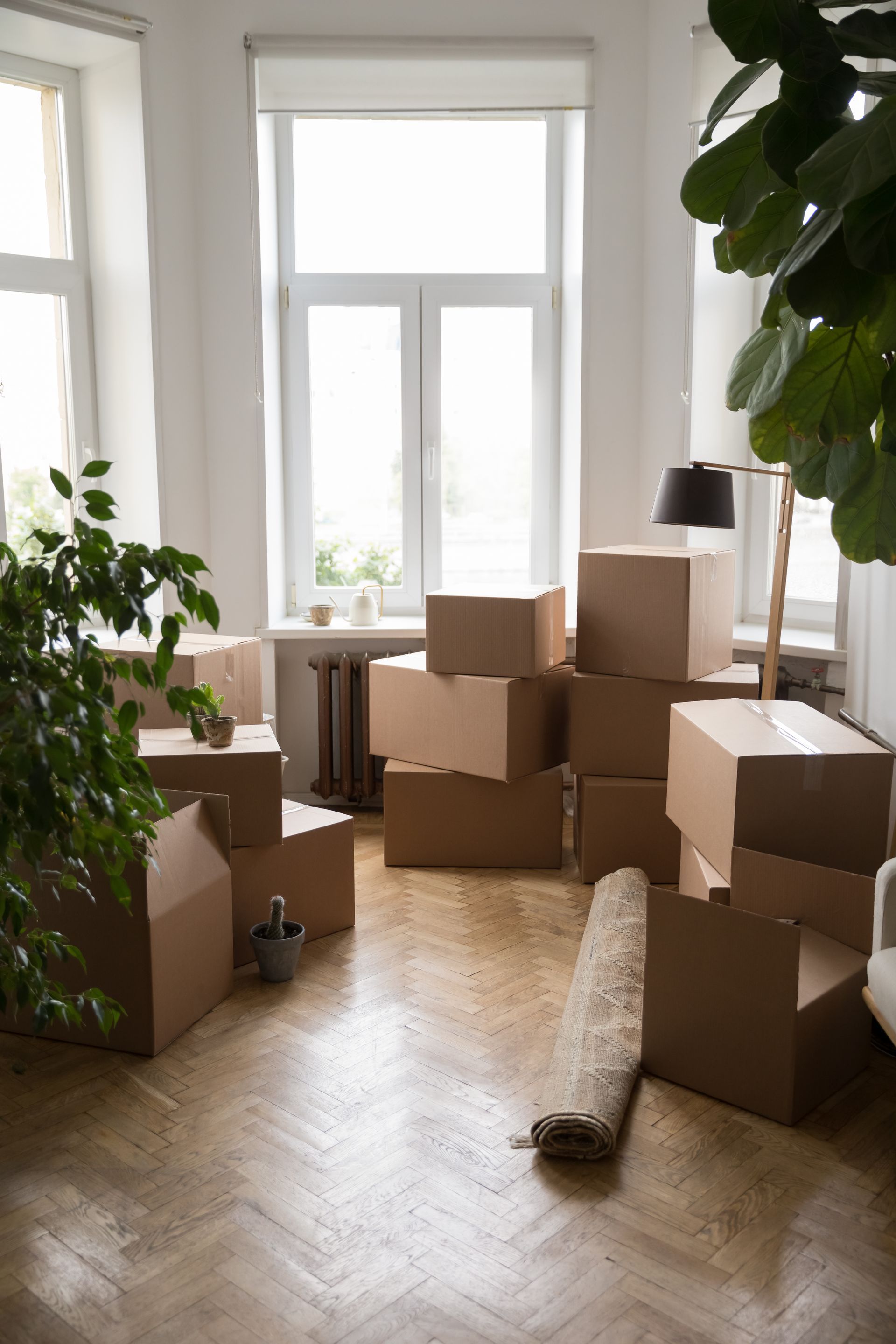 Cardboard moving boxes stacked in a room with hardwood floors, next to a window and plants.