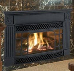 Enviro Freestanding Gas - Cast Iron