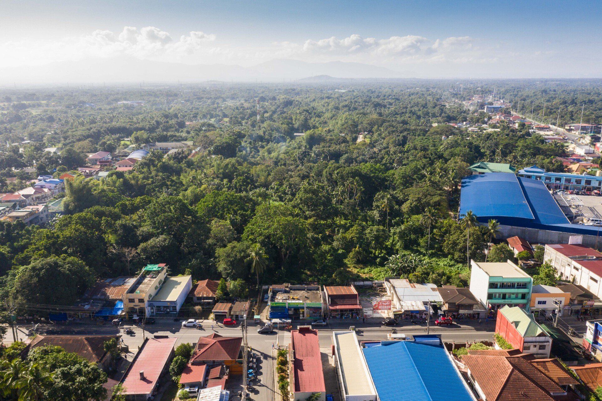 An aerial view of a city with lots of trees and buildings