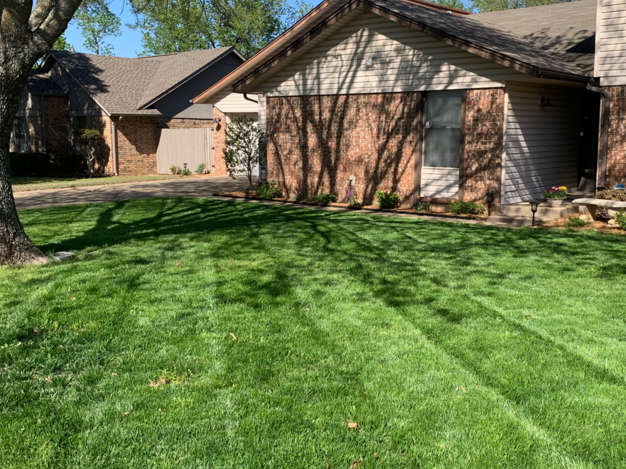Lush lawn after professional mowing by Gold Rush Haul & Mow, promoting health and vitality