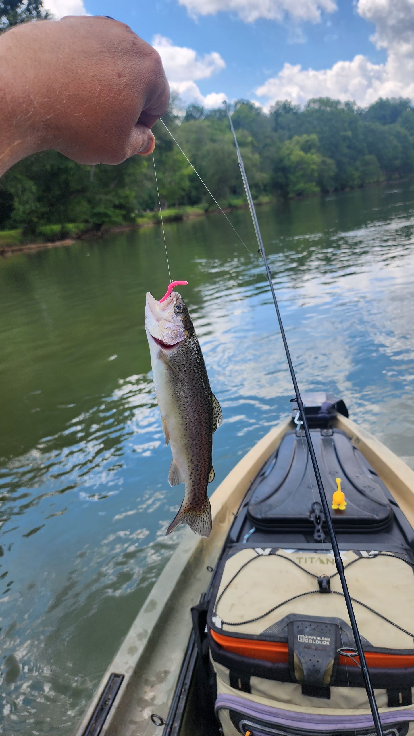 Person fishing from a kayak, holding up a trout caught on a lure; river setting.