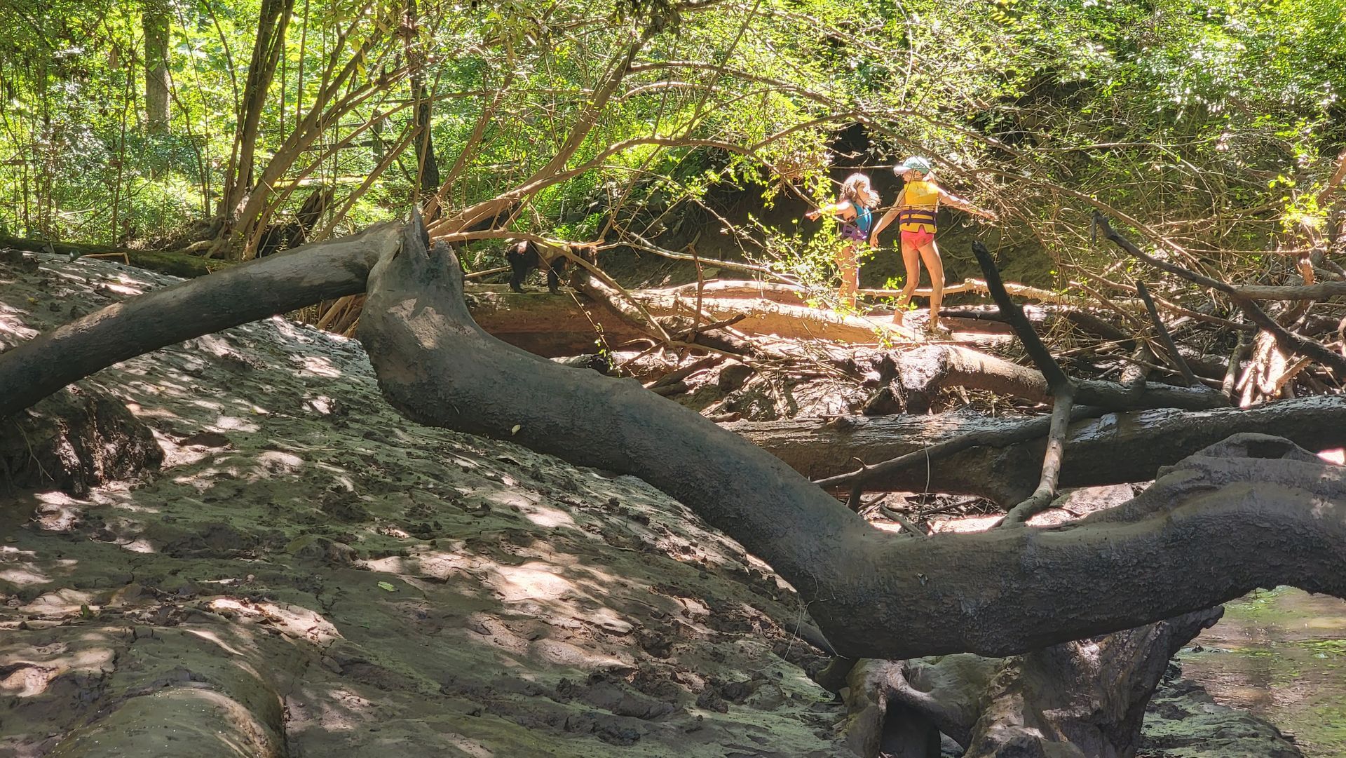 Two people in swimsuits stand on a muddy bank near a river, tree branches in foreground.