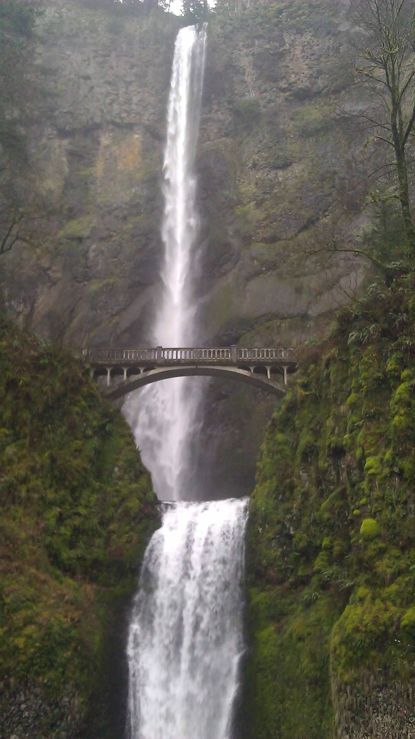 Waterfall cascading over rocks with bridge in view, surrounded by green foliage.