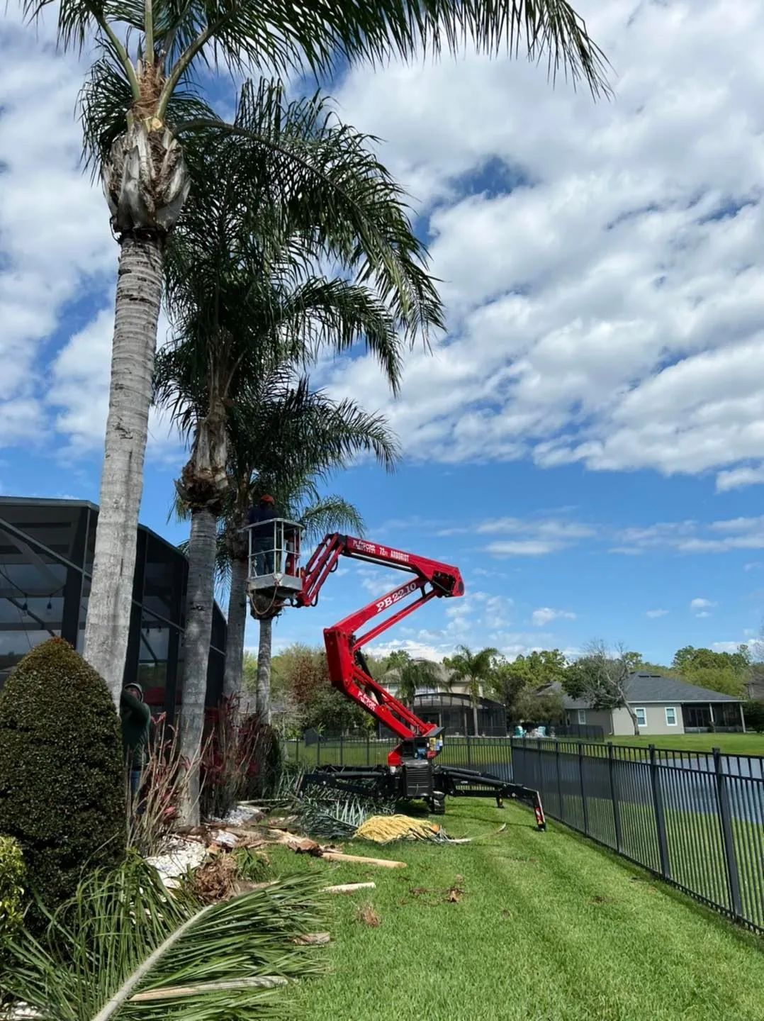 A red lift trims a palm tree in a yard. Blue sky, clouds, and a lake are in the background.