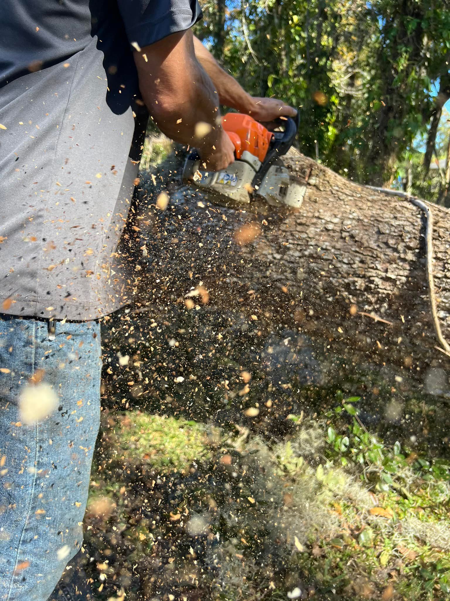 Person using an orange chainsaw to cut a log outdoors, wood chips flying.