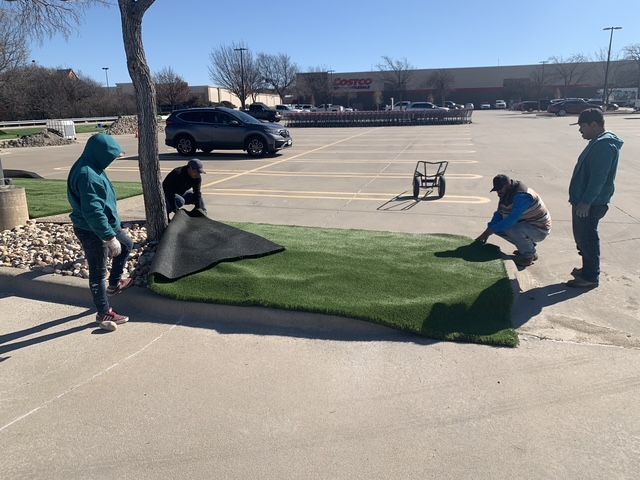 1st Impression staff laying out artificial turf on a landscape island. 