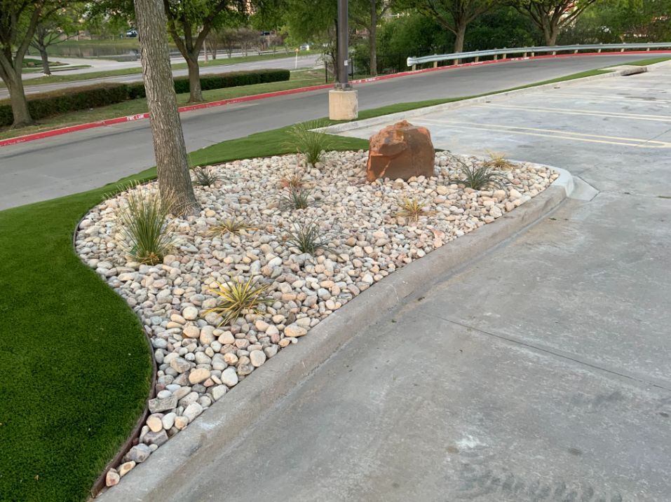 There is a rock garden in the middle of a parking lot.