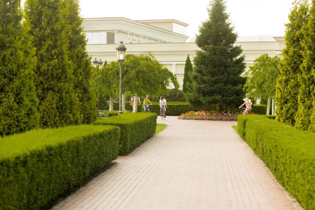 A couple of people are walking down a path in a park.