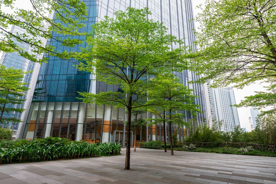 A row of trees in front of a tall building.