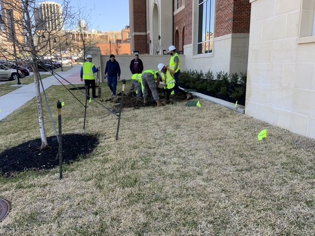 A group of construction workers are digging in the grass in front of a building.