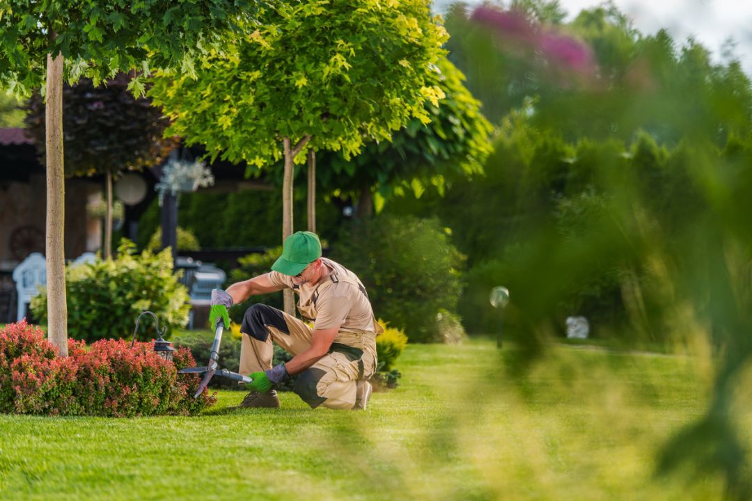 A man is kneeling down in the grass in a garden.