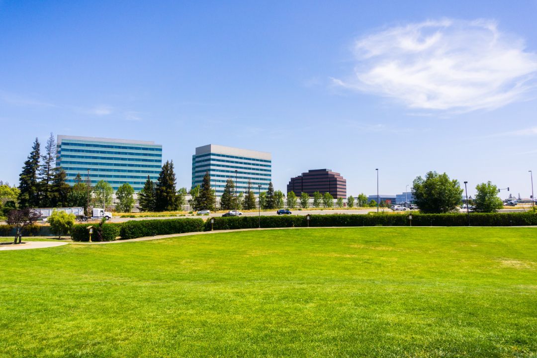 A lush green field with buildings in the background on a sunny day.