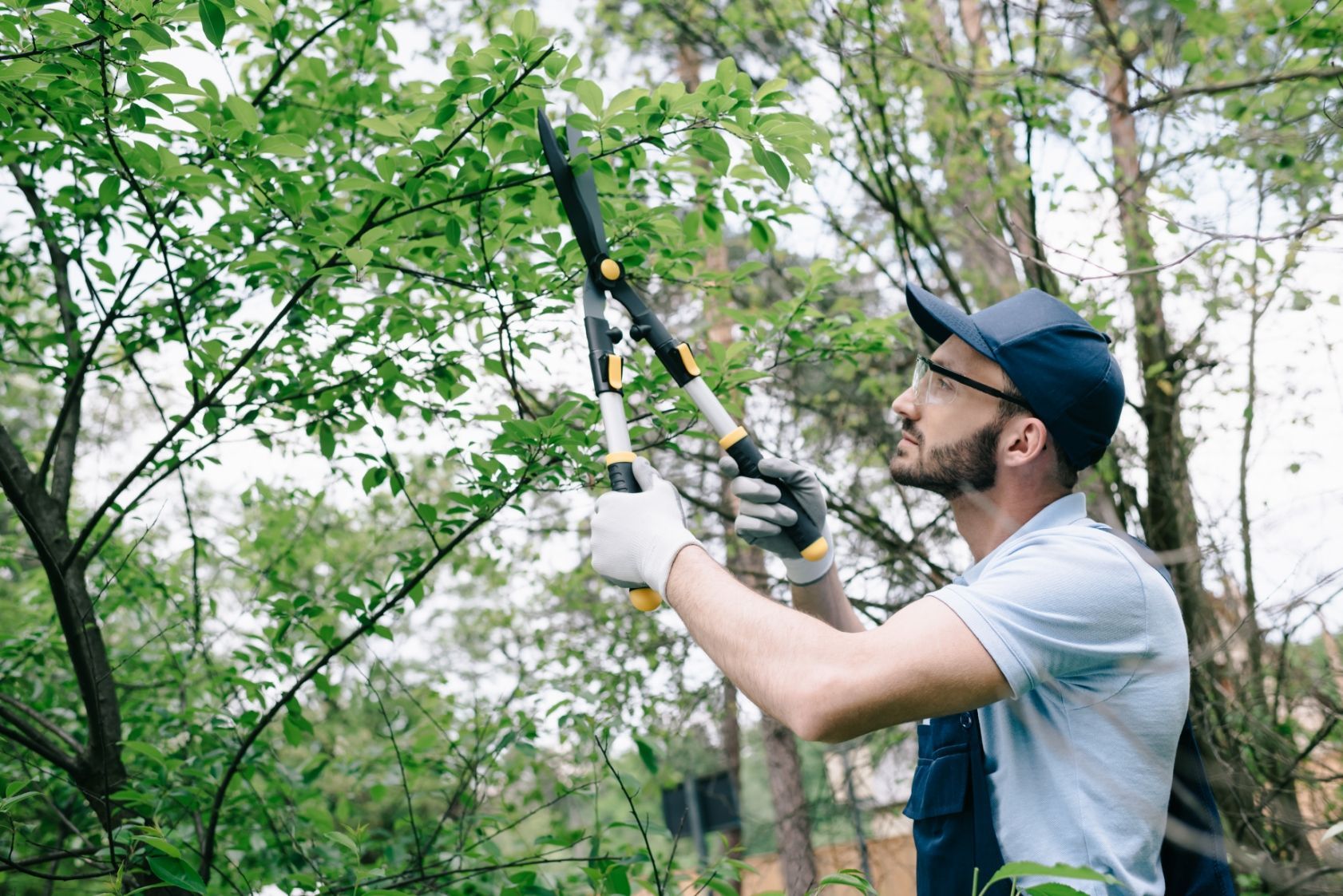 A profssional Landscaper trims an overgrown tree - 1st Impression Turf