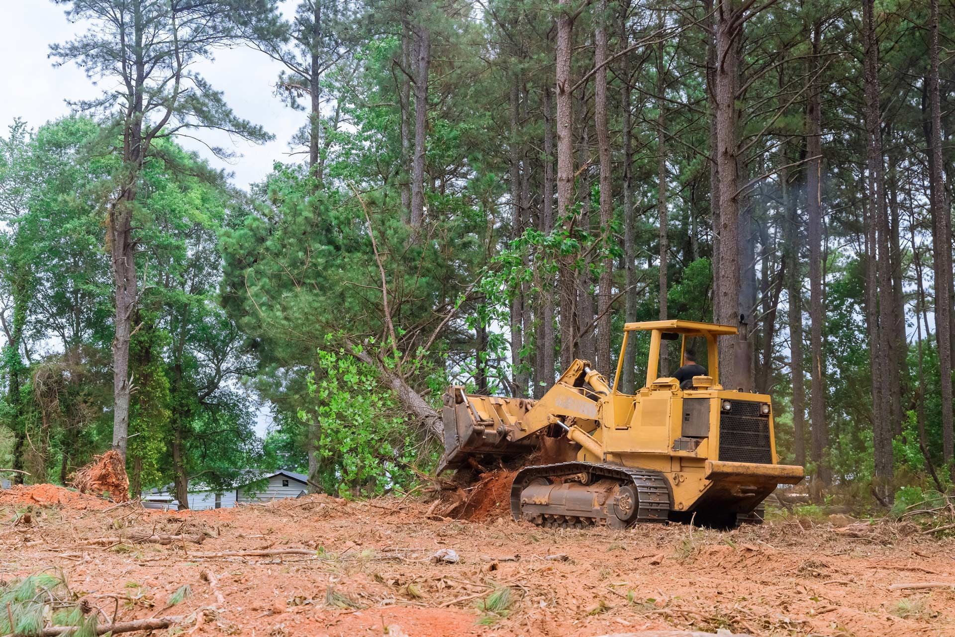 A bulldozer is moving dirt in the middle of a forest.