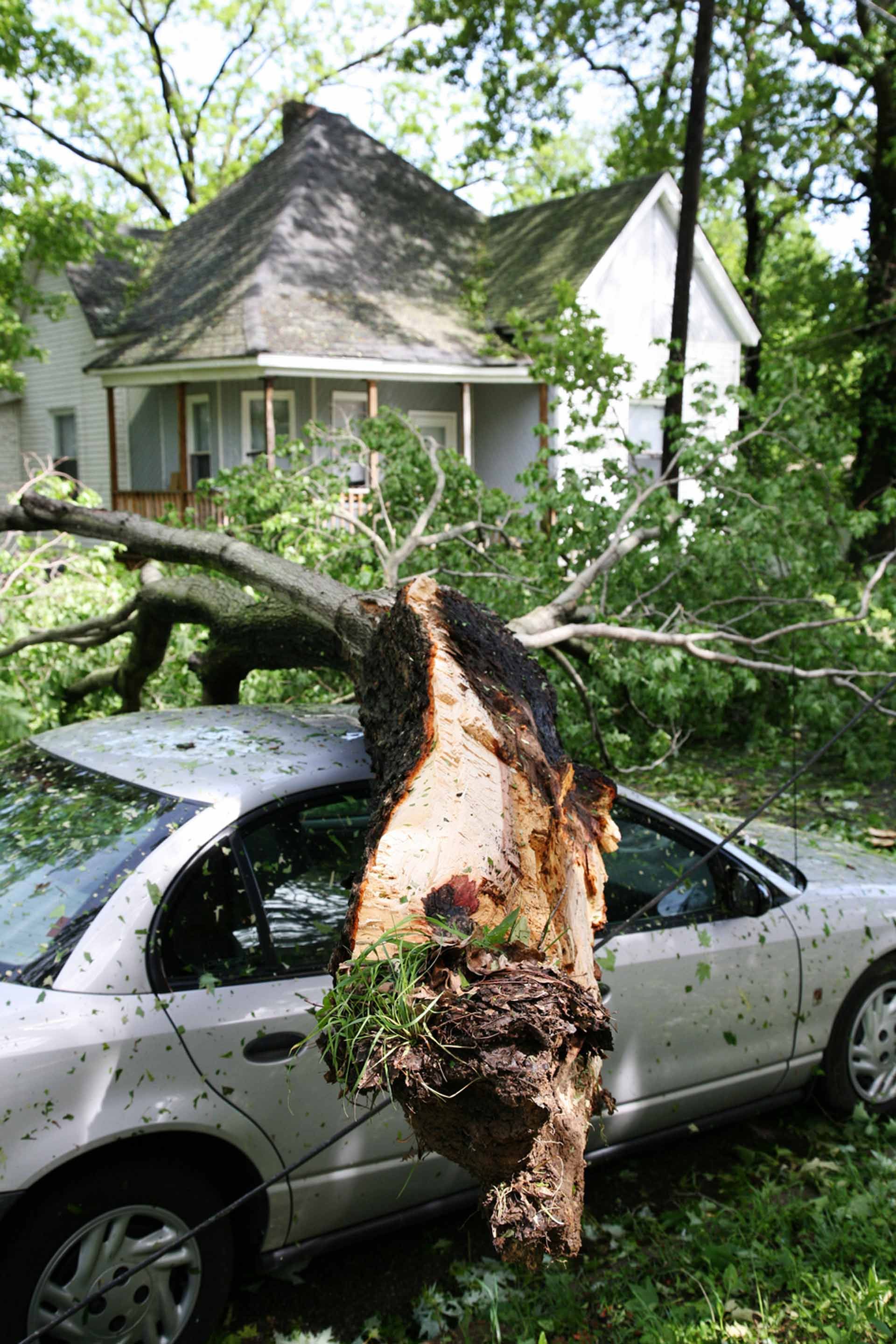 A tree has fallen on a car in front of a house.