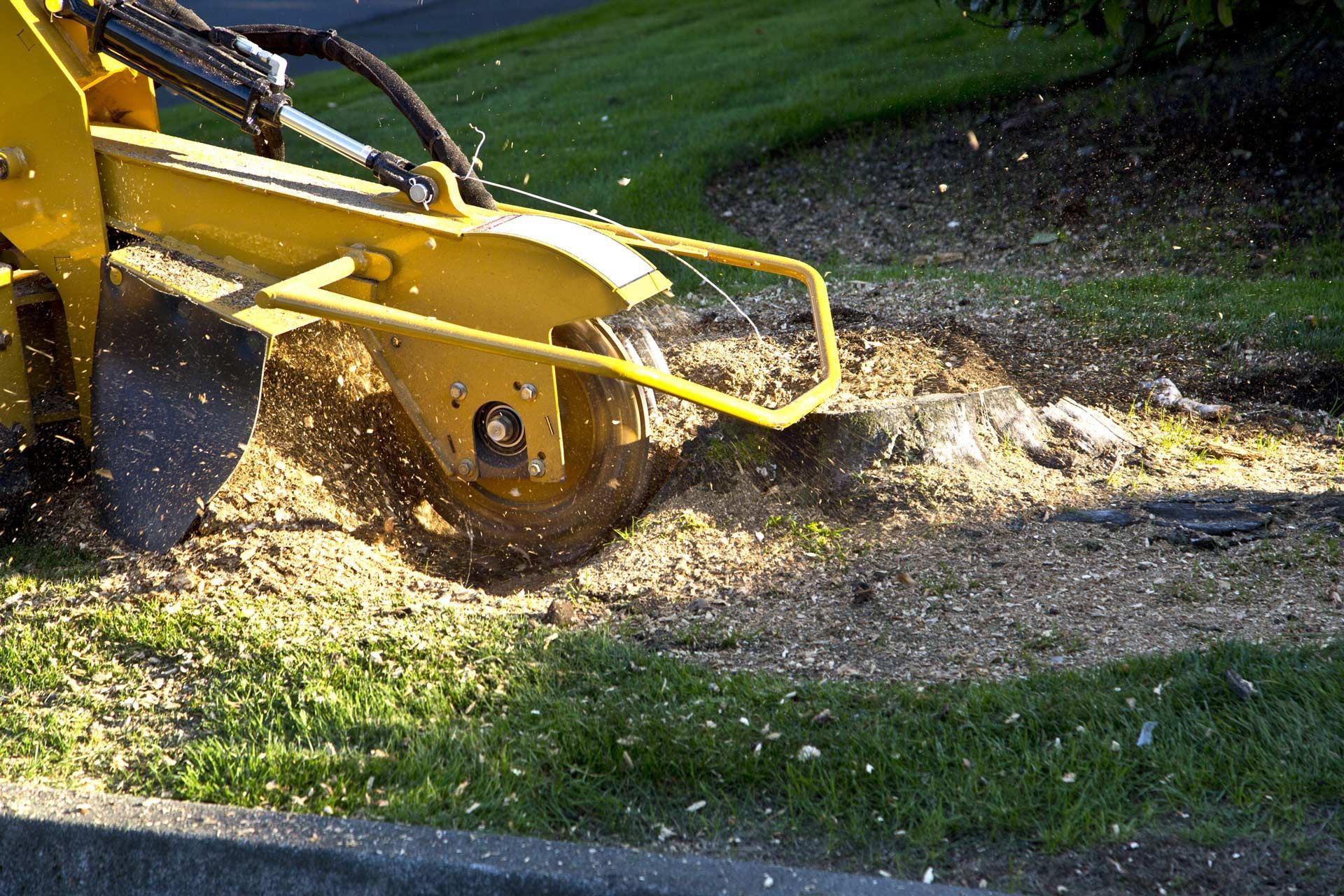 A yellow machine is stump grinding a tree stump.