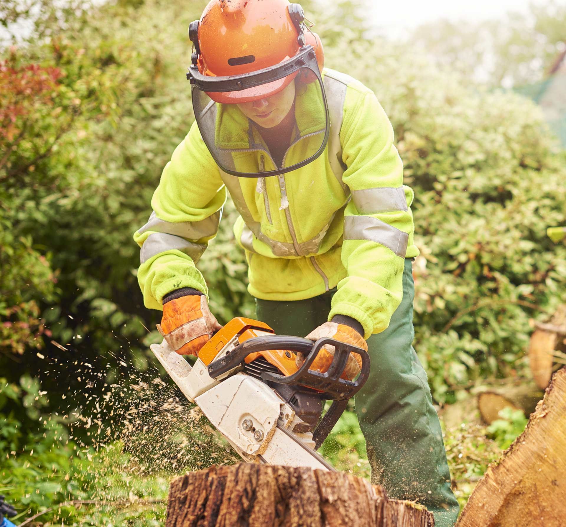 A man is cutting a tree stump with a chainsaw.