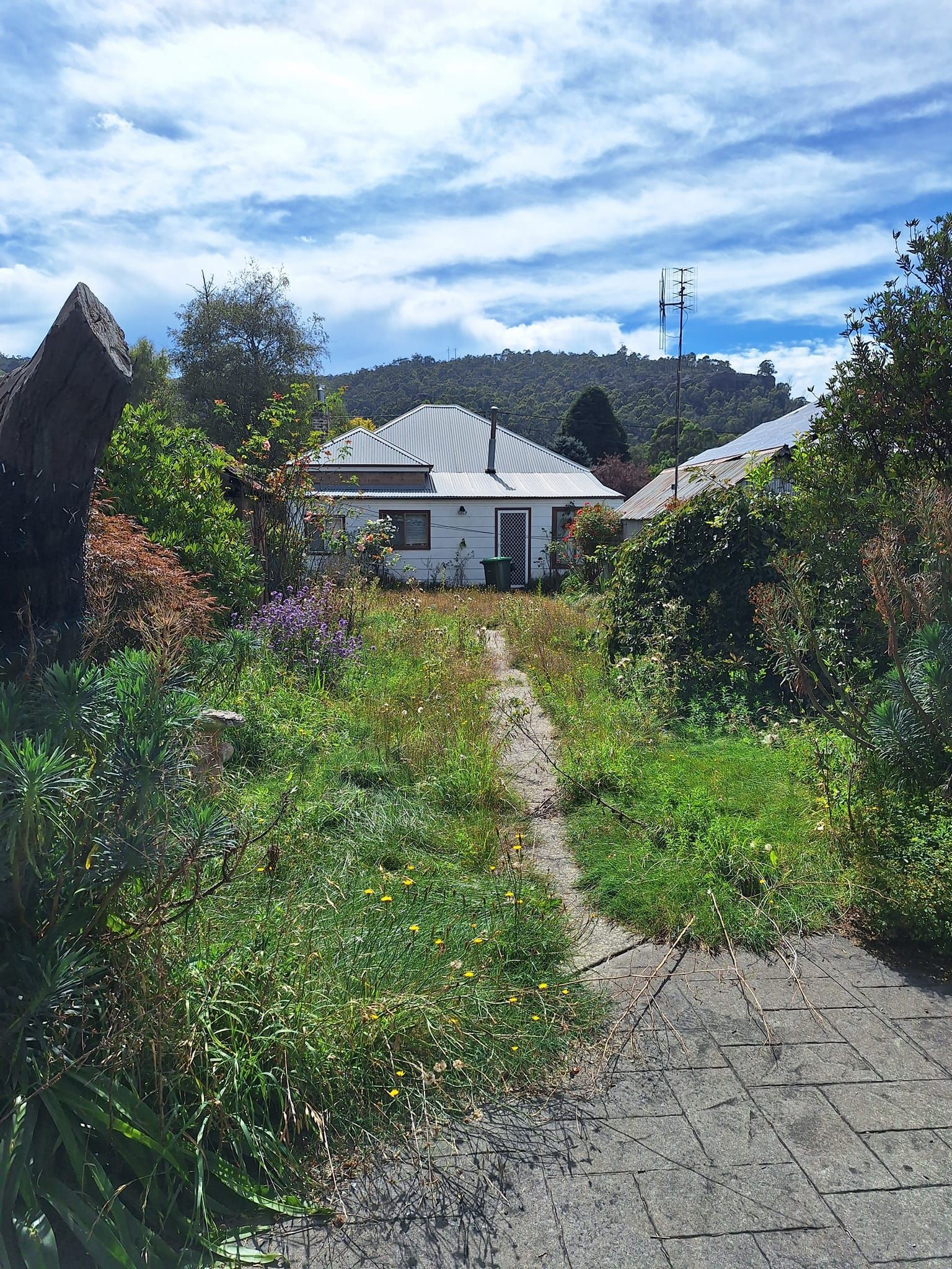 Red dumpster filled with trash, outdoors.