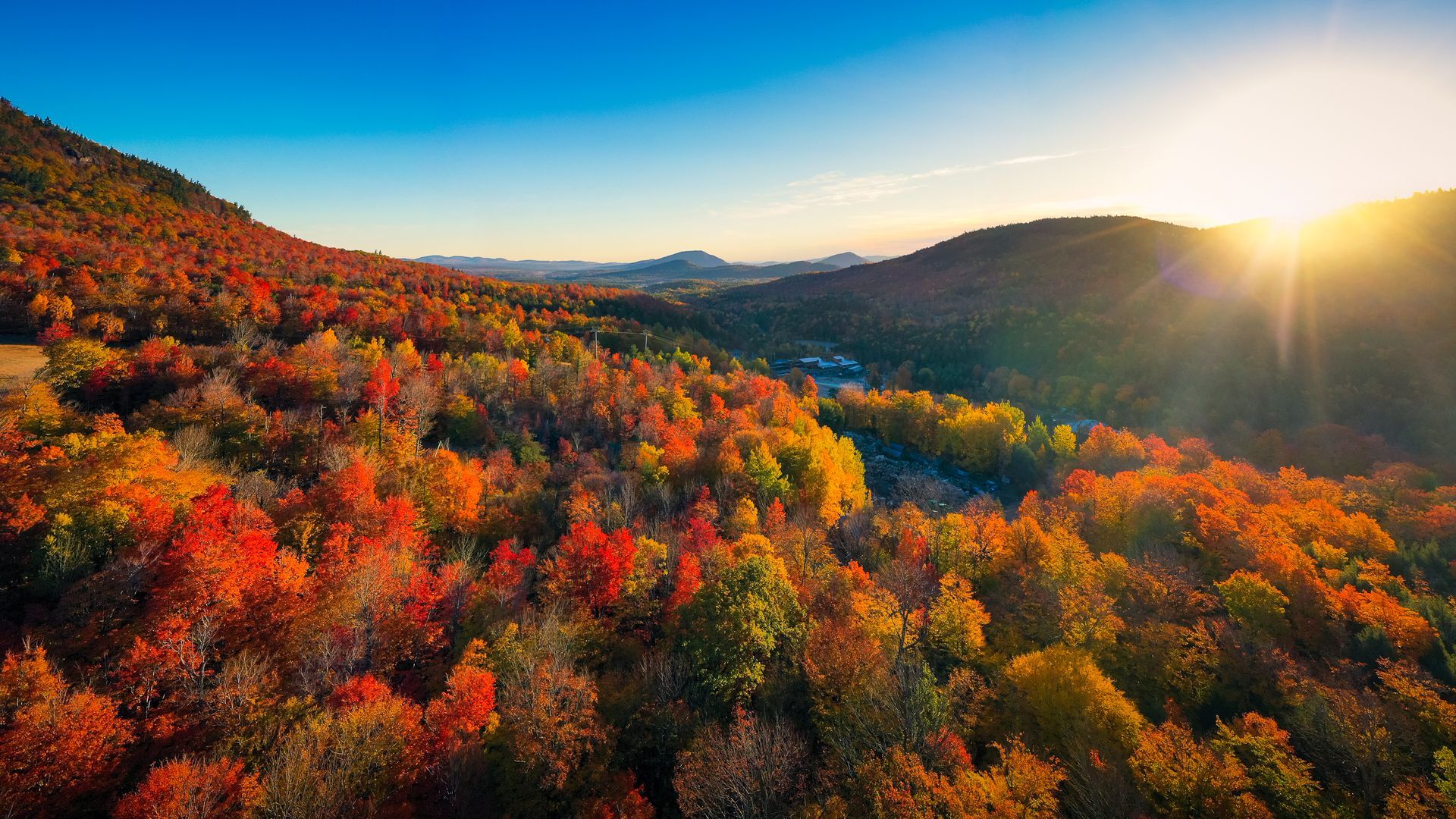 Autumn foliage blankets a hillside under a brilliant sunset.