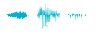 A teal sound wave graphic showing three distinct segments of varying amplitude and density against a white background.