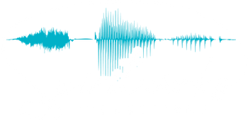 A teal sound wave graphic showing three distinct segments of varying amplitude and density against a white background.