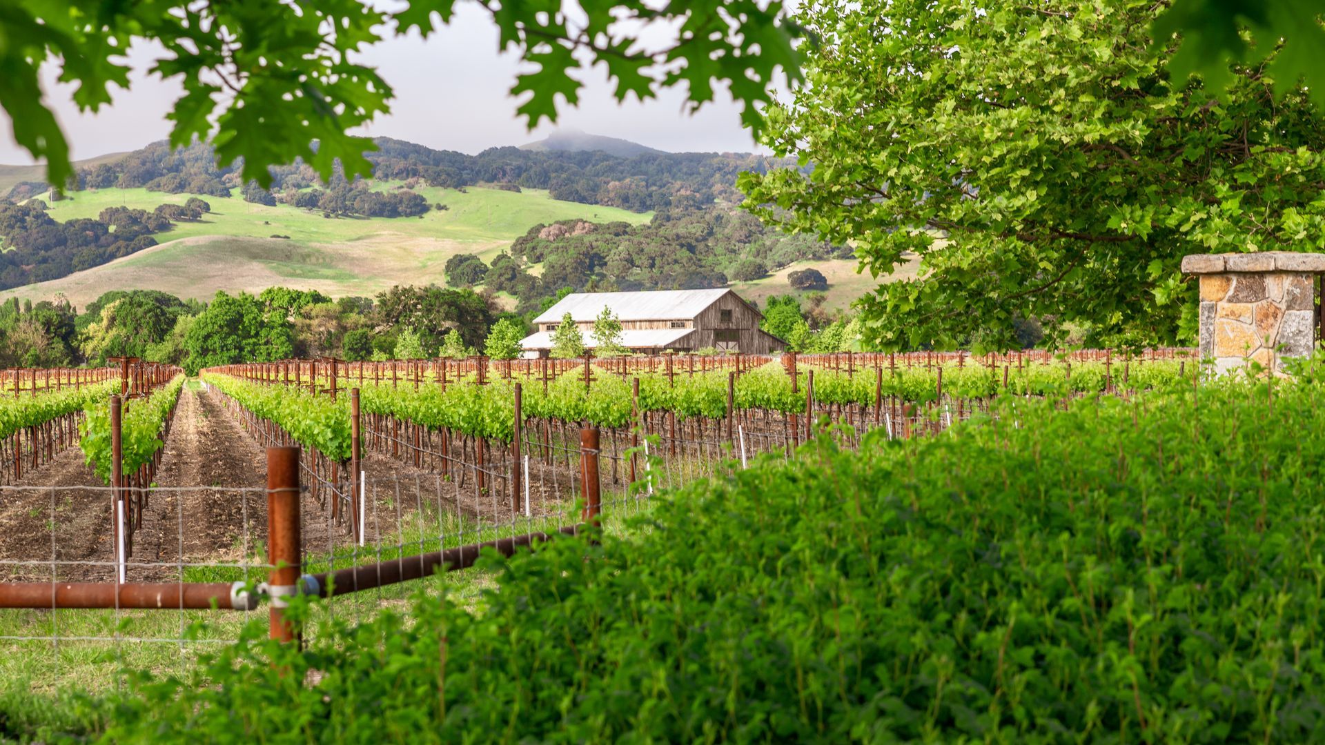 Solano County living