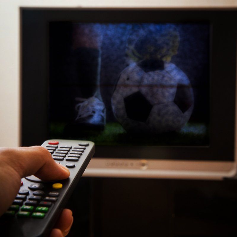 Holding a Remote Control — Mandurah, WA — Digitally Purr-Fect